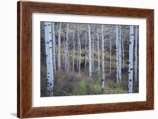 Chris And Quinten Cook Ride The Pipeline Trail In Eagle, Colorado-Jay Goodrich-Framed Photographic Print