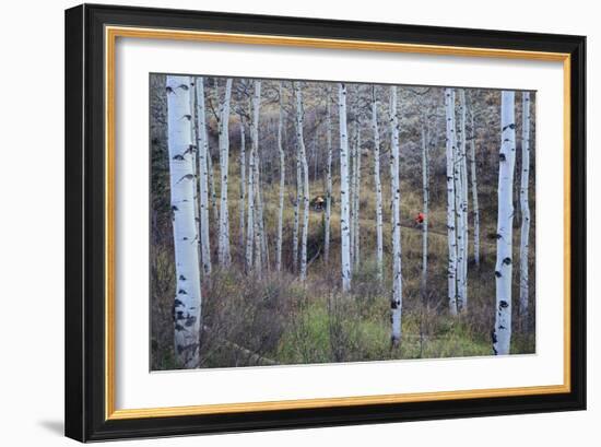 Chris And Quinten Cook Ride The Pipeline Trail In Eagle, Colorado-Jay Goodrich-Framed Photographic Print