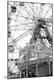 Photographic Print