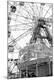 Photographic Print