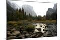 Photographic Print