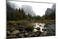 Photographic Print
