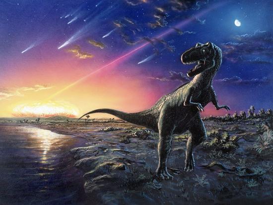 Photographic Print, , large