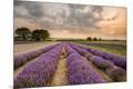 Photographic Print
