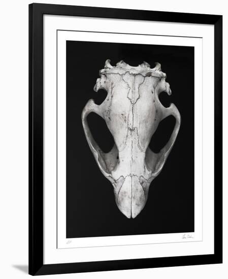 Collectable Print, , large