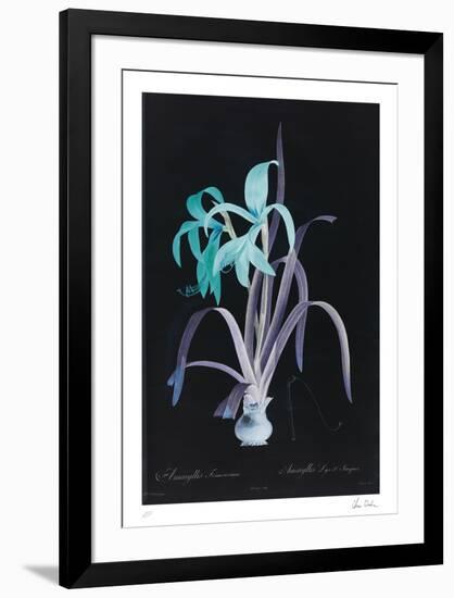 Limited Edition, , large