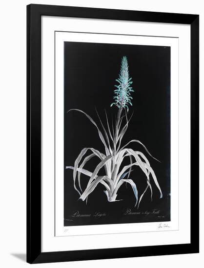 Limited Edition, , large