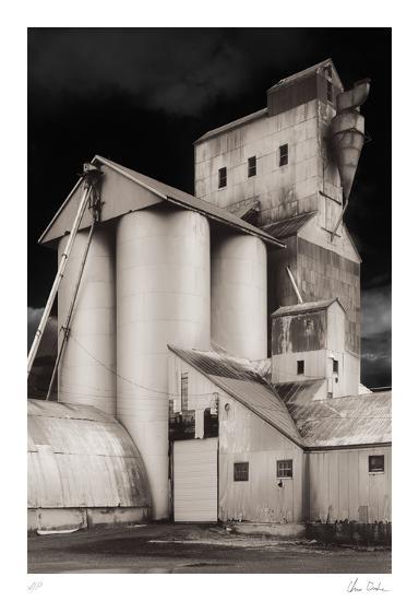 Collectable Print, , large