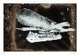 Collectable Print