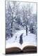 Photographic Print