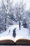 Open Book with Winter Woodland Background and falling Snow-Chris_Elwell-Photographic Print