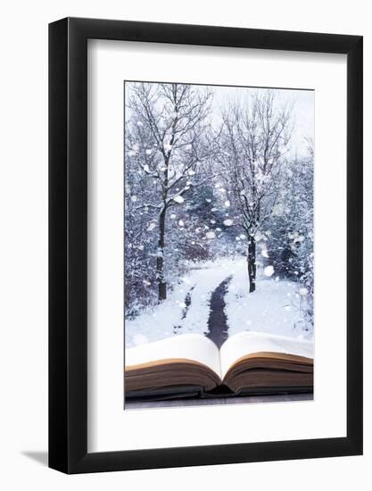 Photographic Print, , large