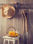 Rustic Country Shed Interior with Freshly Picked Yellow Roses in Basket-Chris_Elwell-Framed Photographic Print