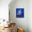 Chris Evert-null-Framed Stretched Canvas displayed on a wall