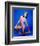 Chris Evert-null-Framed Photo