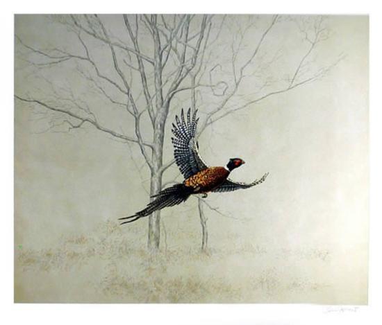 Collectable Print, , large