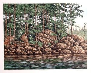 Wild Geese by Chris Forrest