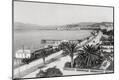 Photographic Print