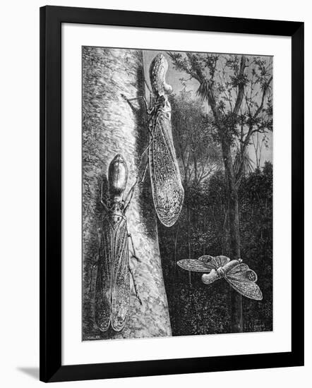 Giclee Print, , large