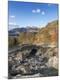 Photographic Print