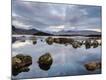 Premium Photographic Print