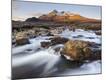 Photographic Print