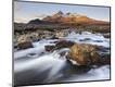 Photographic Print