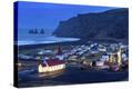 Stretched Canvas Print