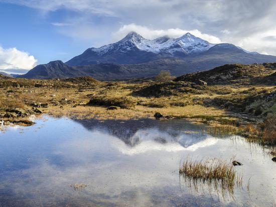 Premium Photographic Print, , large