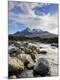 Photographic Print