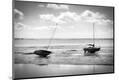 Photographic Print