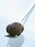 Black Truffle (Chinese Truffle) on Fork-Chris Meier-Photographic Print