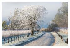A Frosty Morning-Chris Moore-Photographic Print