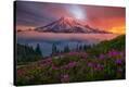 Stretched Canvas Print