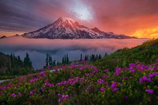 Photographic Print, , large