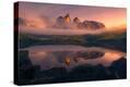 Stretched Canvas Print