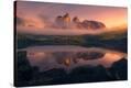 Stretched Canvas Print