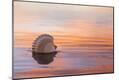 Premium Photographic Print