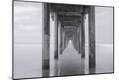 Premium Photographic Print