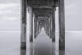 Premium Photographic Print