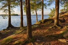 USA, New York State. Calm summer morning on the St. Lawrence River, Thousand Islands.-Chris Murray-Photographic Print