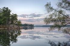 New York State. Pine trees bathed in evening light along the St. Lawrence River, Thousand Islands.-Chris Murray-Photographic Print