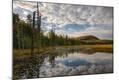 Photographic Print