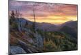 Premium Photographic Print