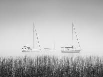 USA, New York State. Autumn foliage and mist on Labrador Pond.-Chris Murray-Framed Photographic Print