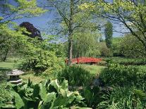 Japanese Bridge, Heale House Gardens, Middle Woodford, Wiltshire, England, United Kingdom-Chris Nicholson-Framed Photographic Print