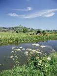 River Brue with Glastonbury Tor in the Distance, Somerset, England, United Kingdom-Chris Nicholson-Photographic Print