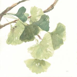 Gingko Leaves I on White by Chris Paschke