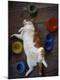 Photographic Print