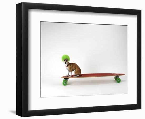 Photographic Print, , large